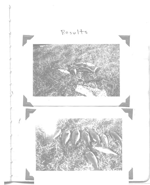 Donnelly-Cullinan-Shultz book 2 of familiar noises oct 1942